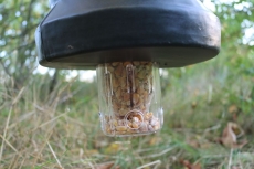 Futterspender fr Futterkegel Flugwildgehege