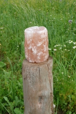 Salzleckstein-Zylinder 3 kg Himalayasalz