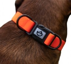 Farm-Land Halsband verstellbar, Signalorange XL 39-63 cm