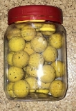Klages Carp Bulletz Pop Up-Mais