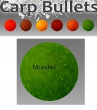 CB Carp Bullets Muschel 1Kg